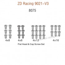 ZD Racing 9021-V3 Parts Flat Head Cap Screw set 8075