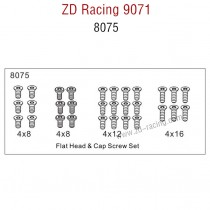 ZD Racing 9071 Parts Flat Head and Cap Screw Set 8075