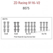 ZD Racing 9116-V2 Parts Flat Head and Cap Screw Set 8075