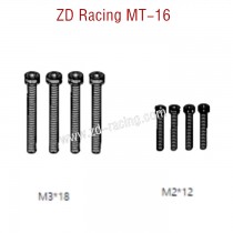 ZD Racing MT16 Parts M3x18  M2x12 screw 16063